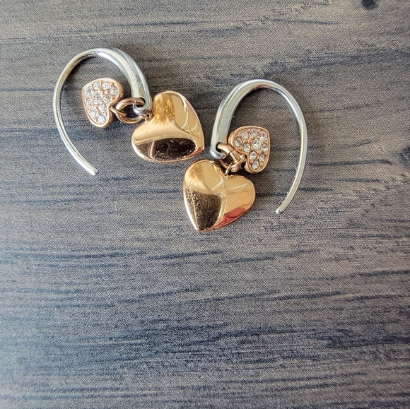 Fossil Dangle Earrings - Picture 5 of 6